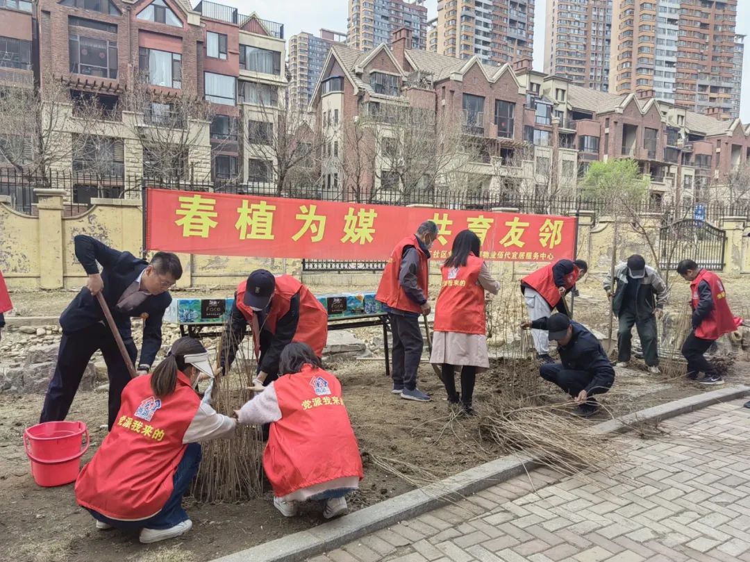 浑河站东街道榆工社区开展“补种绿植 美化环境”志愿服务活动