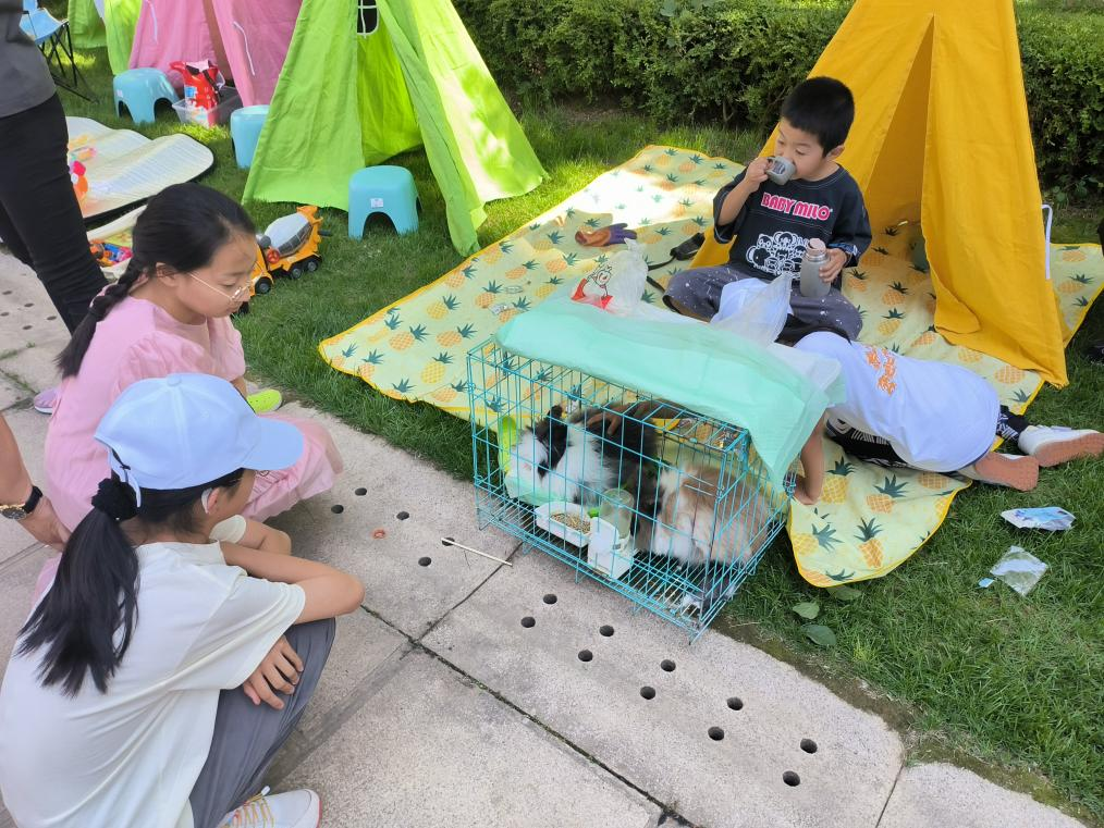 五三街道九里社区举办“环境日”特别活动 低碳环保从娃娃抓起