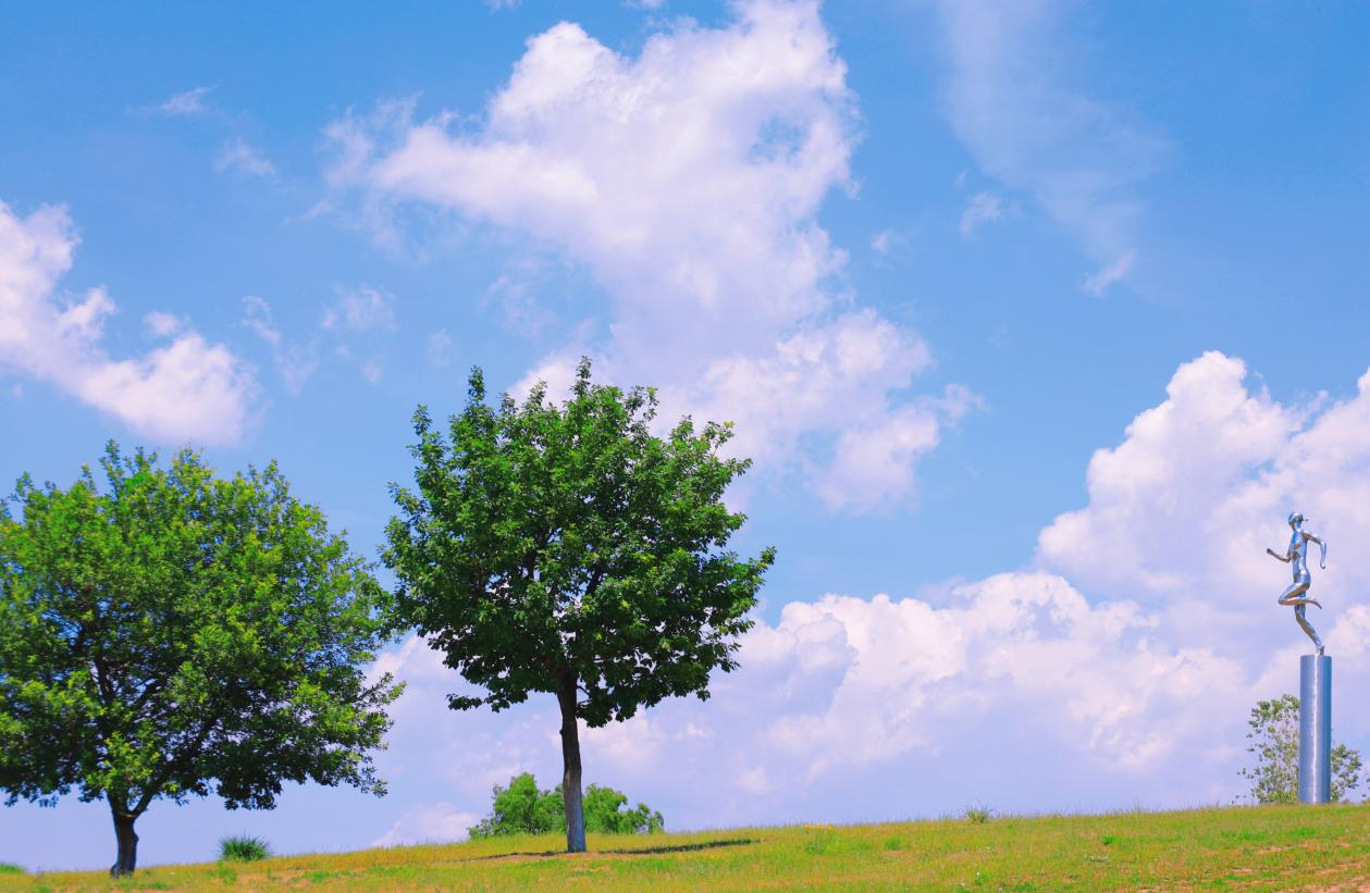 浑南莫子山公园：绿色充盈的初夏