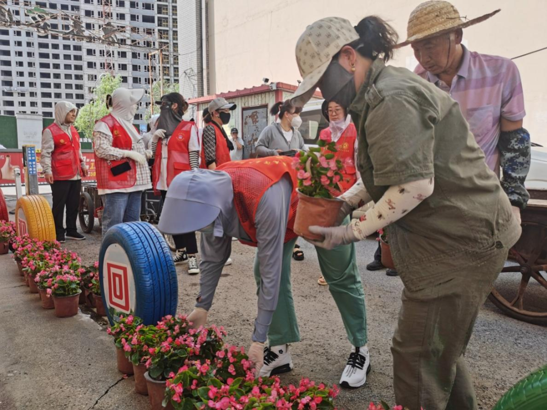 浑河站东街道糖厂子社区举办“美丽站东 花海街景”志愿服务活动