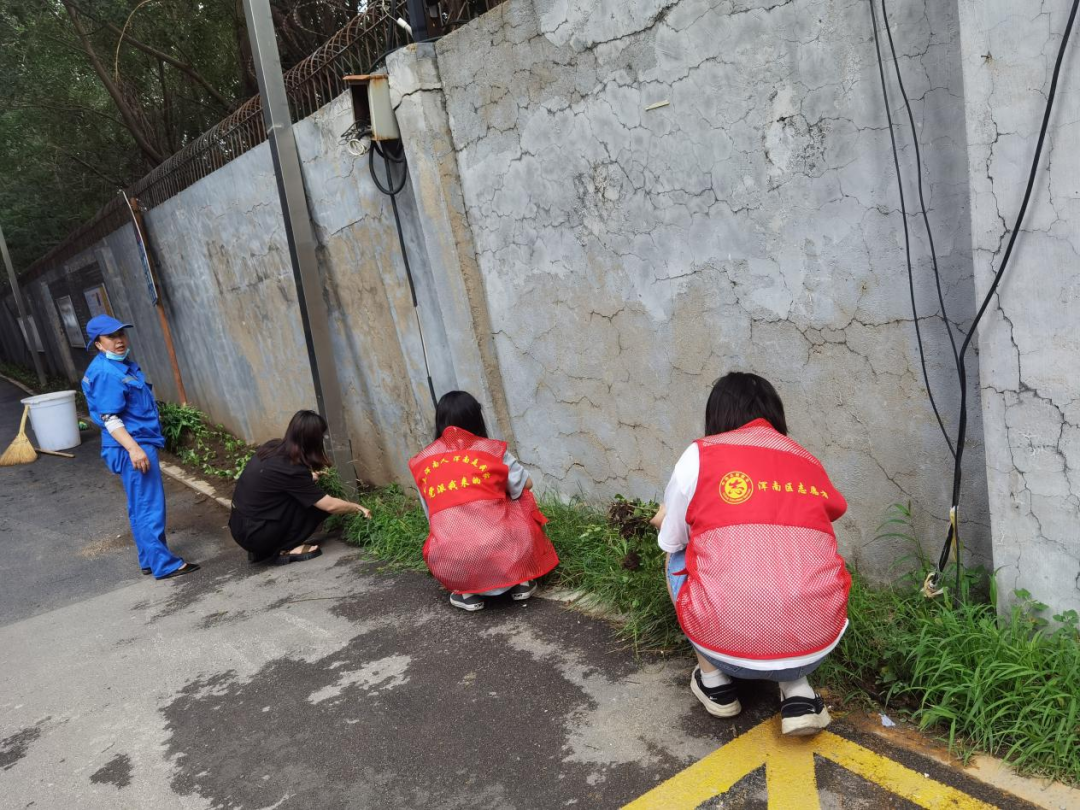 浑河站东街道万科新榆社区开展景观绿化...