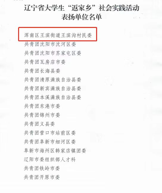 王滨街道王滨沟村:“返家乡”献爱心 搭建志愿服务平台用爱托起明天的太阳