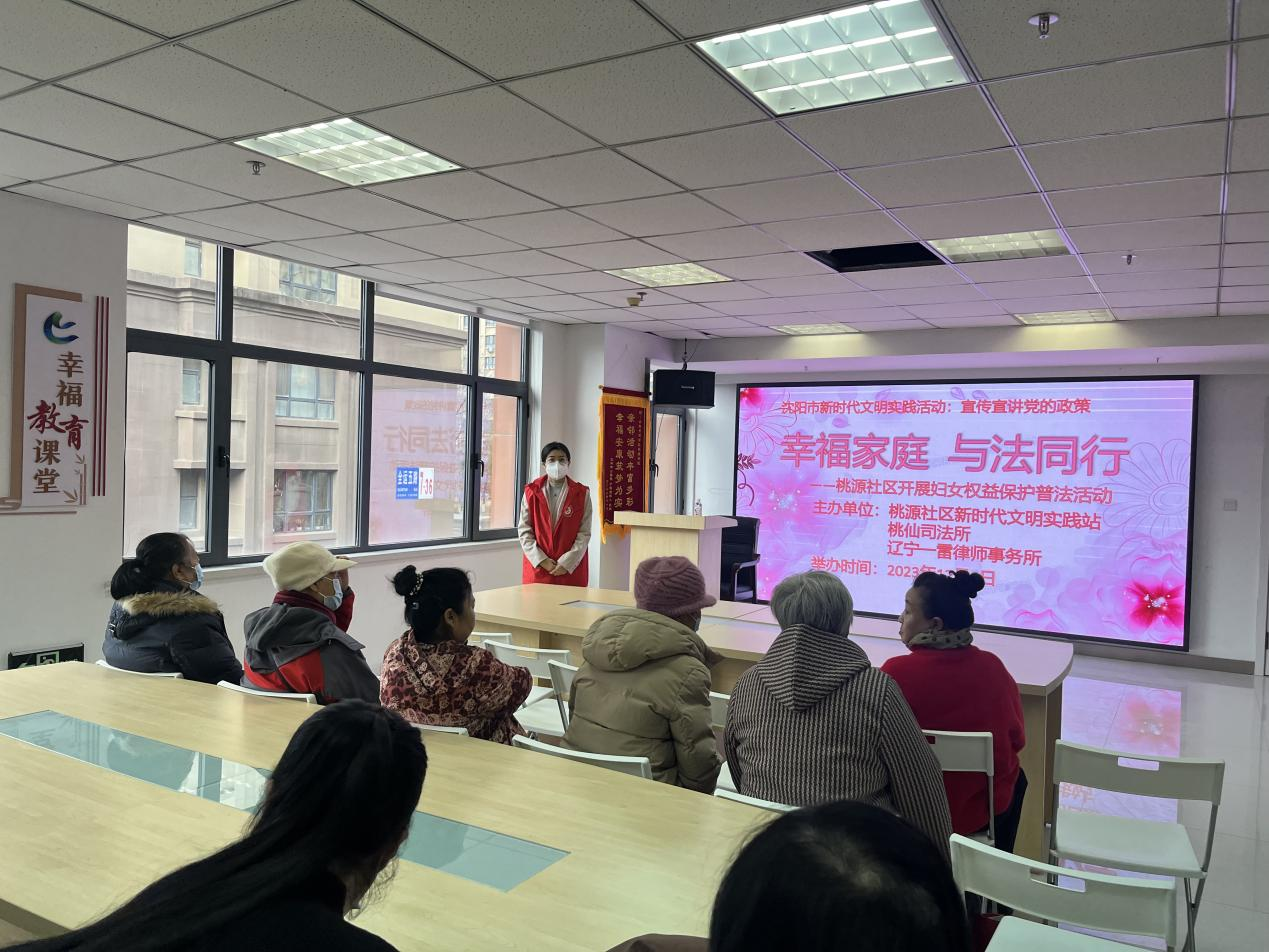 桃仙街道桃源社区开展妇女权益保护普法活动