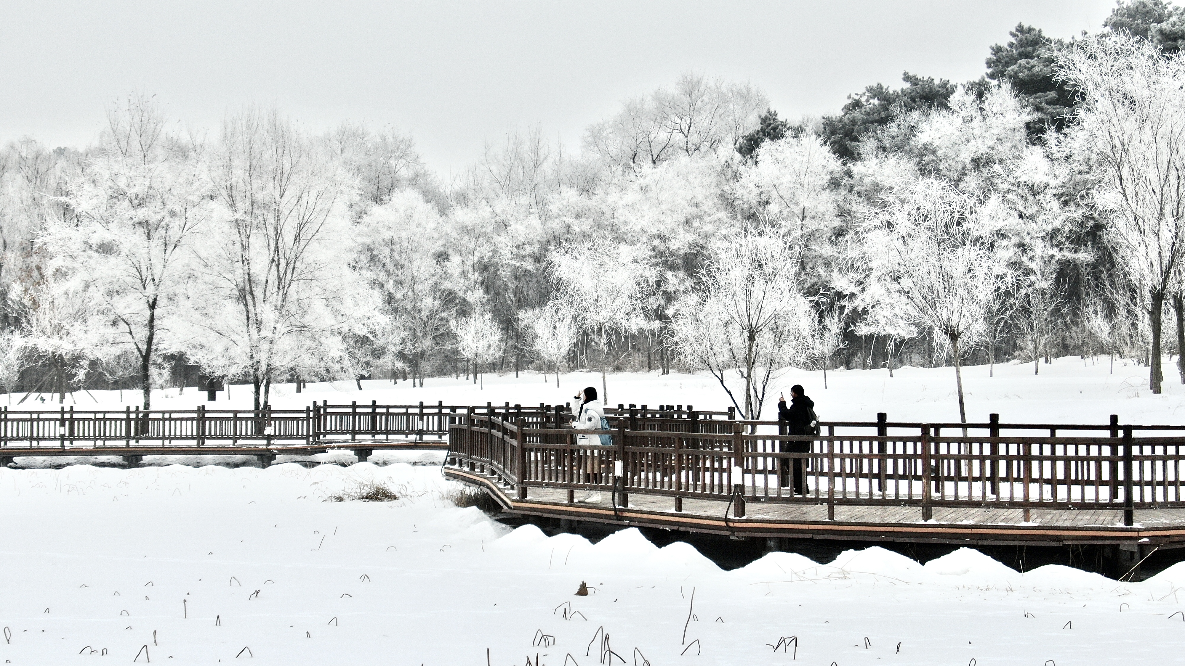 棋盘山雾凇晶莹剔透美不胜收