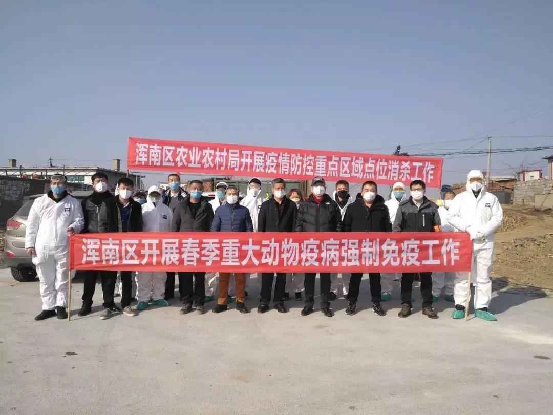 浑南区农业农村局：五个防控网 抗击病毒疫情、严控动物疫病两不误
