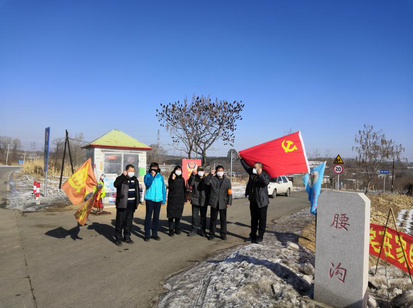 村民平安就是我的“初心和使命”——高坎街道腰沟社区第一书记刘莹抗“疫”...