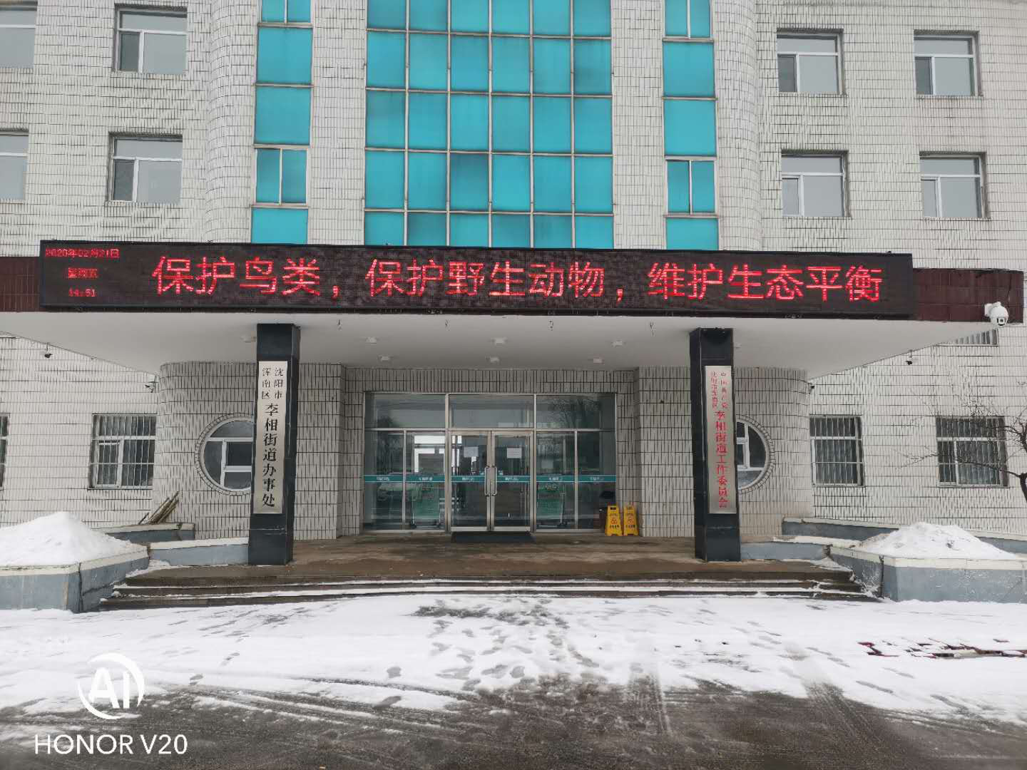 保护野生动物 维护生态安全