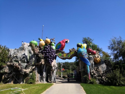 无私奉献,用爱心守护“醉”美家园