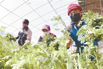 复工复产 促农增收