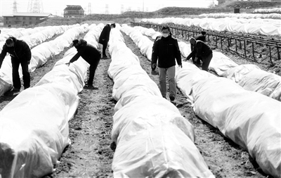 播撒希望 耕耘春天