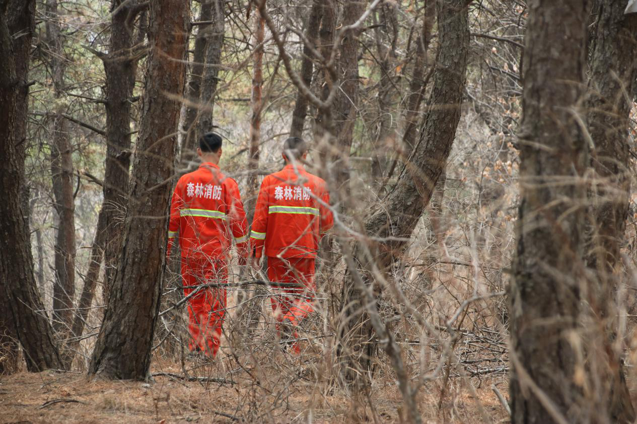 浑南区:狠抓森林防火 确保防患未“燃”