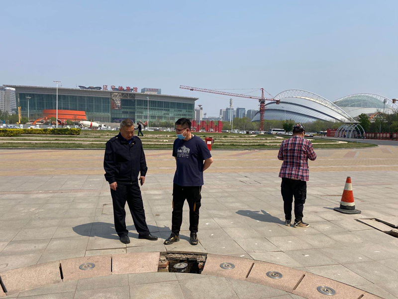 区城管局:清理整治共享单车 助力文明城市创建