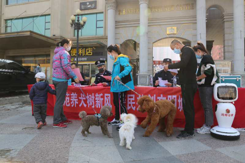 市公安局浑南分局:开展“文明养犬”集中整治行动