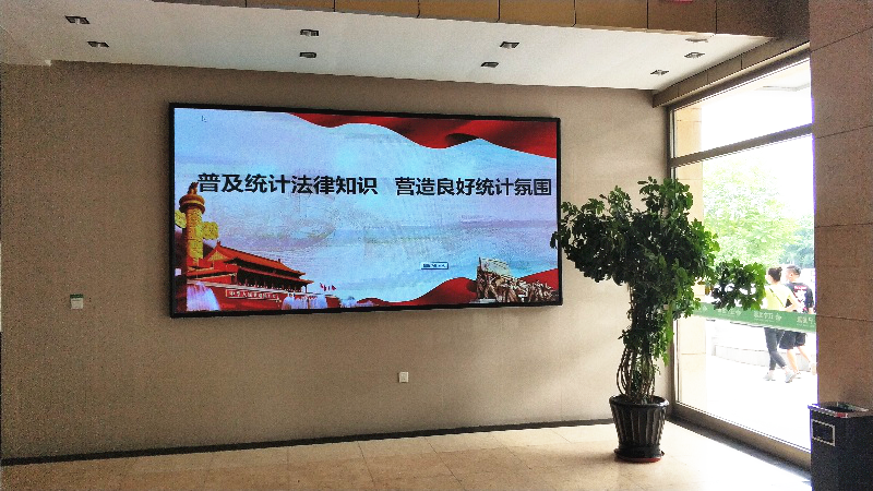 区司法局开展“弘扬法治精神 推进依法统计”《统计法》宣传活动