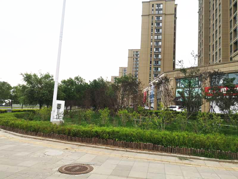 浑南创城丨街角绿地提升工程 妆点浑南草碧花红