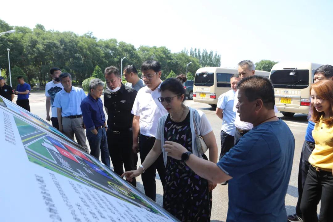 区政协委员视察我区防汛工作