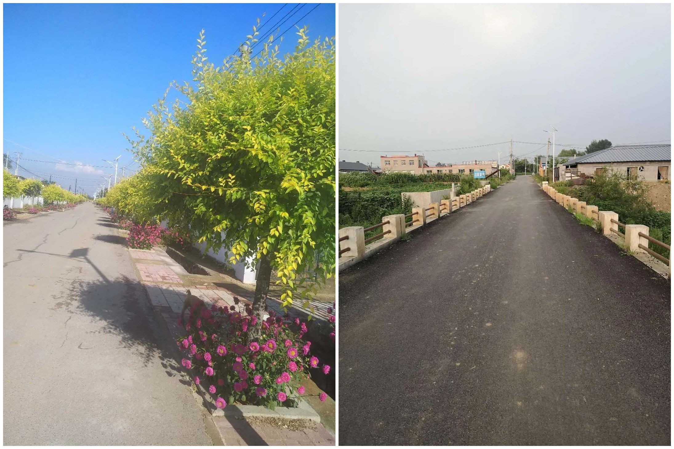 【乡村振兴】辽宁沈阳市：浑南区祝家街道五个村通过省美丽示范村验收