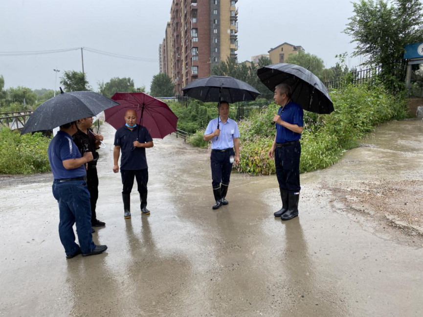 区委组织部：以真抓促实干 为全区发展强化组织保障