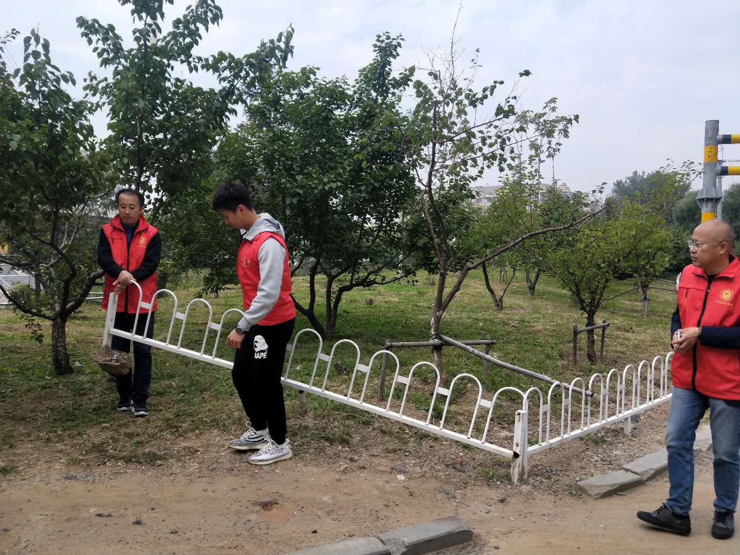 “迎十一 庆国庆”浑南区教育局开展志愿服务活动