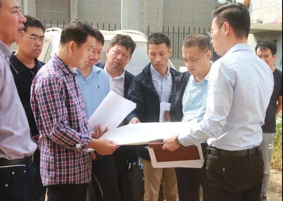 区政协视察全区重点提案办理工作情况