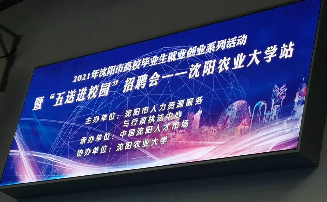 浑南等你 共续春天的故事