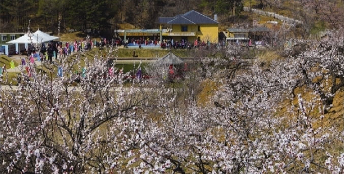 浑南邀你赏花 品花 食花