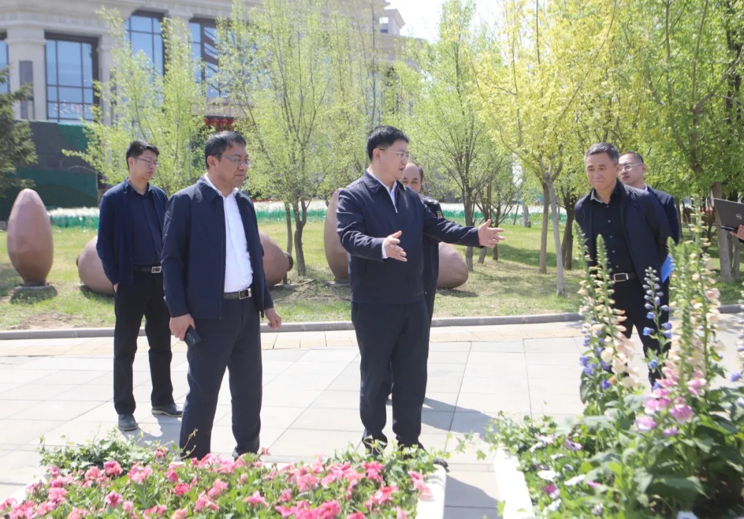 区委书记单义调研城市精细化管理工作