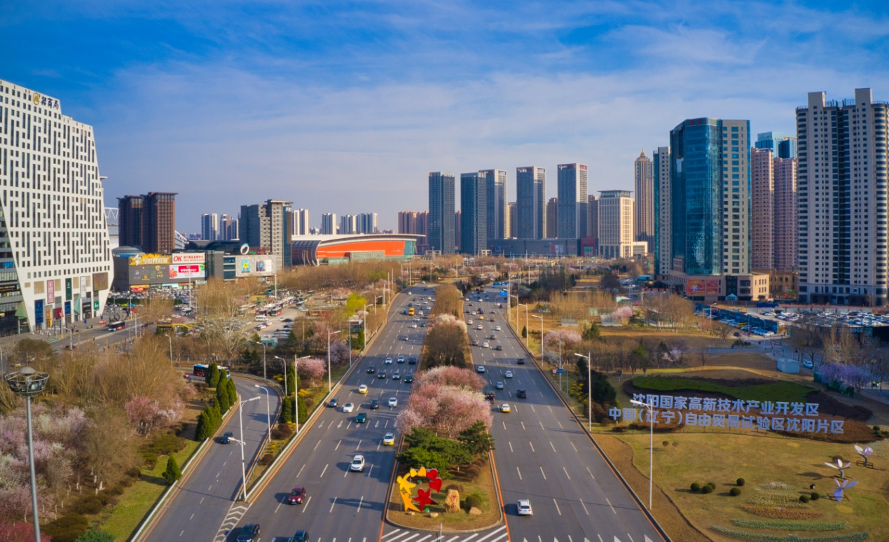 浑南区面向全省发放200万元惠民消费券