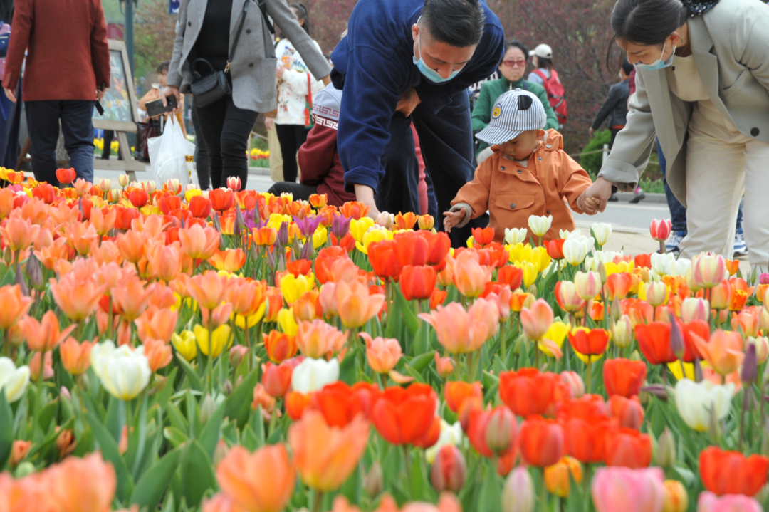 “五一”黄金周：浑南区旅游市场复苏势头强劲