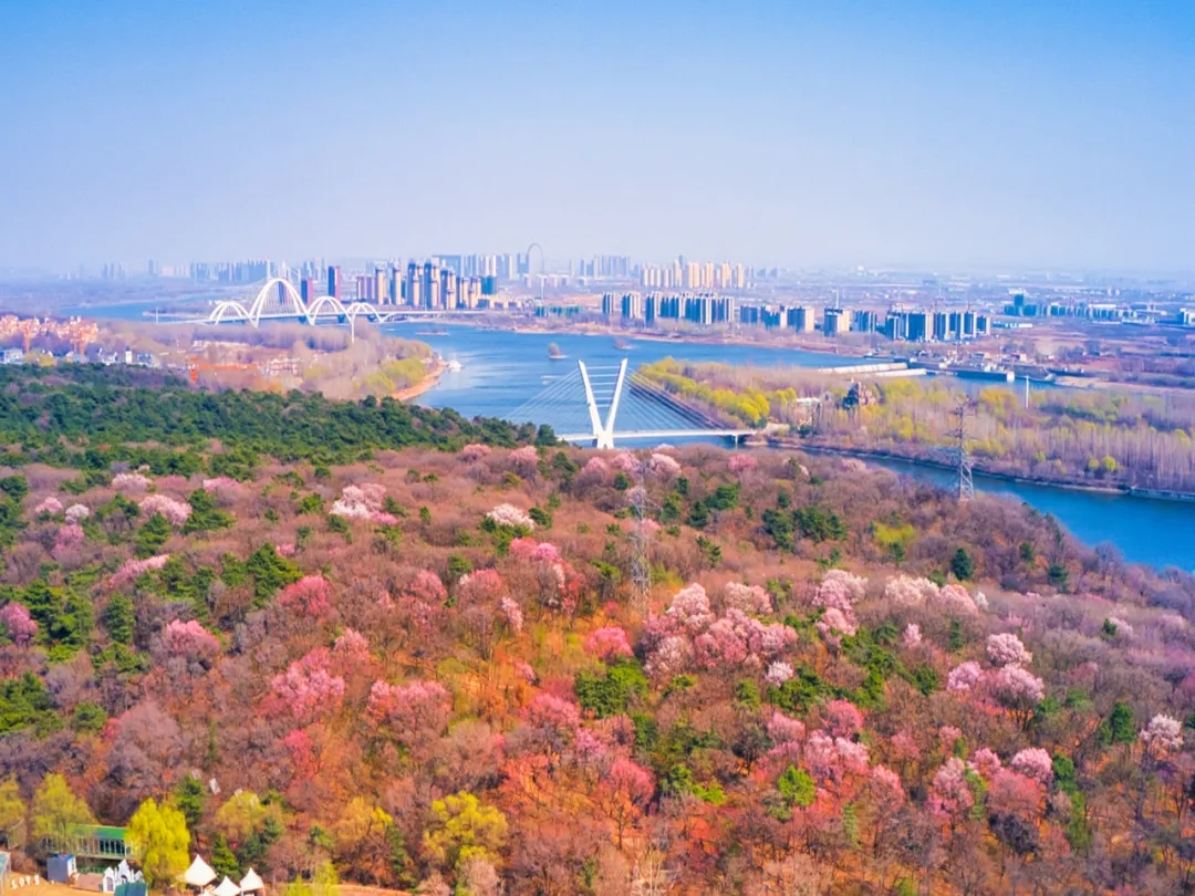 浑南区实现“十四五”首季良好开局