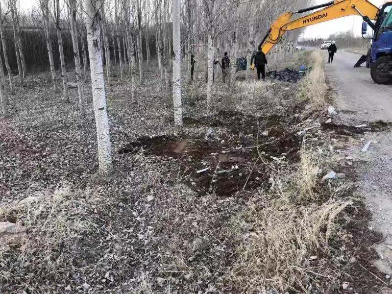 浑南区百日攻坚行动进行时 高速公路及铁路沿线城市窗口变靓丽
