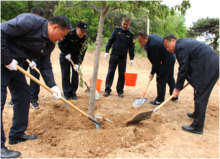 棋盘山管委会开展“守初心、担使命 建好绿水青山”主题党日活动