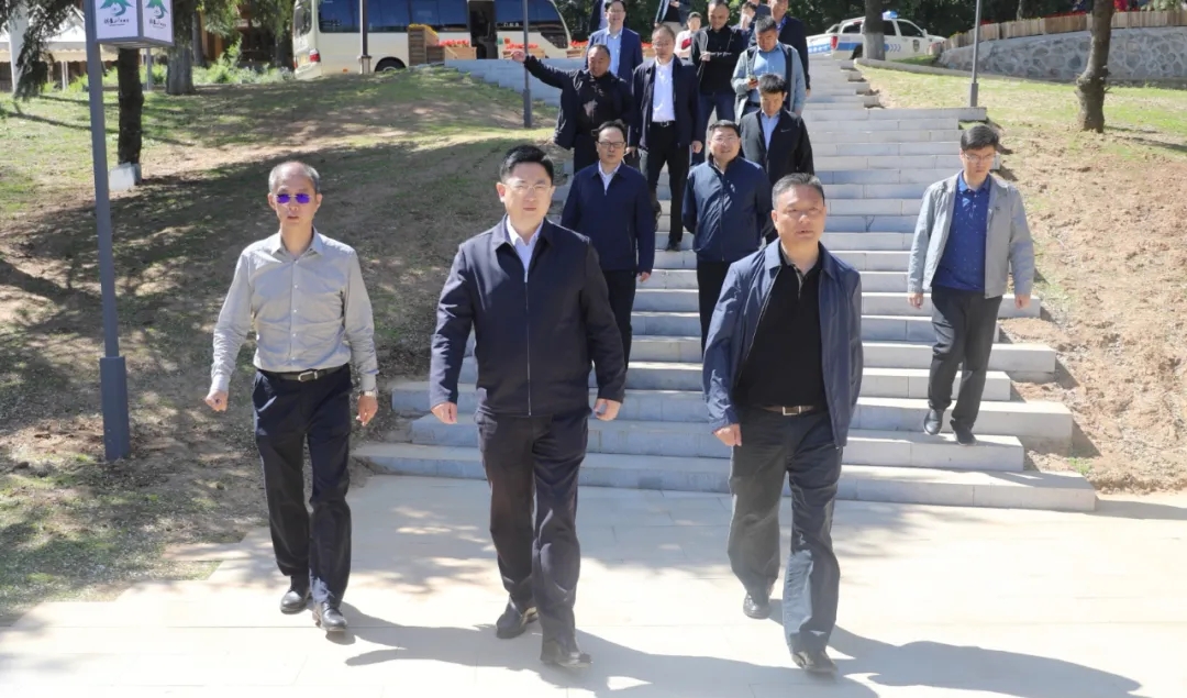 区委书记单义调研棋盘山景区整治提升、疫情防控、农村改厕和村卫生室建设工作