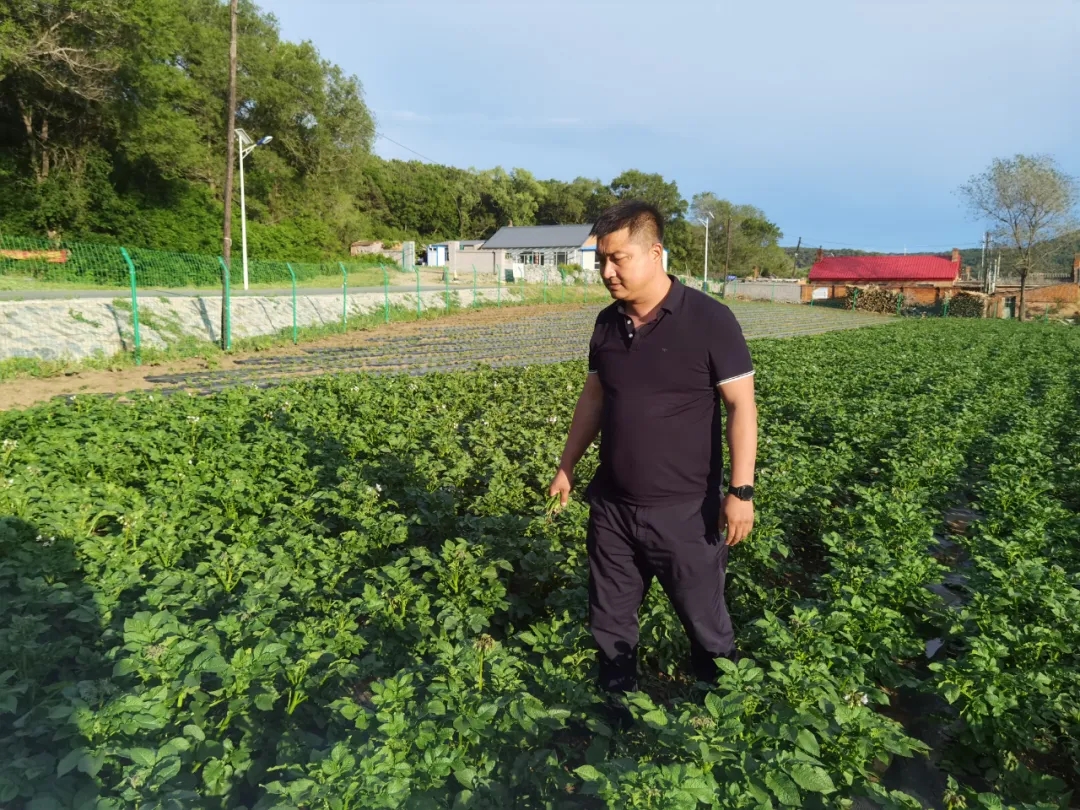 【建党百年 初心不变】 先锋故事--王连勇:“当家人”带咱走上致富路