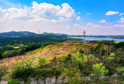 棋盘山风景区:让“绿色”成为高质量发展的“底色”