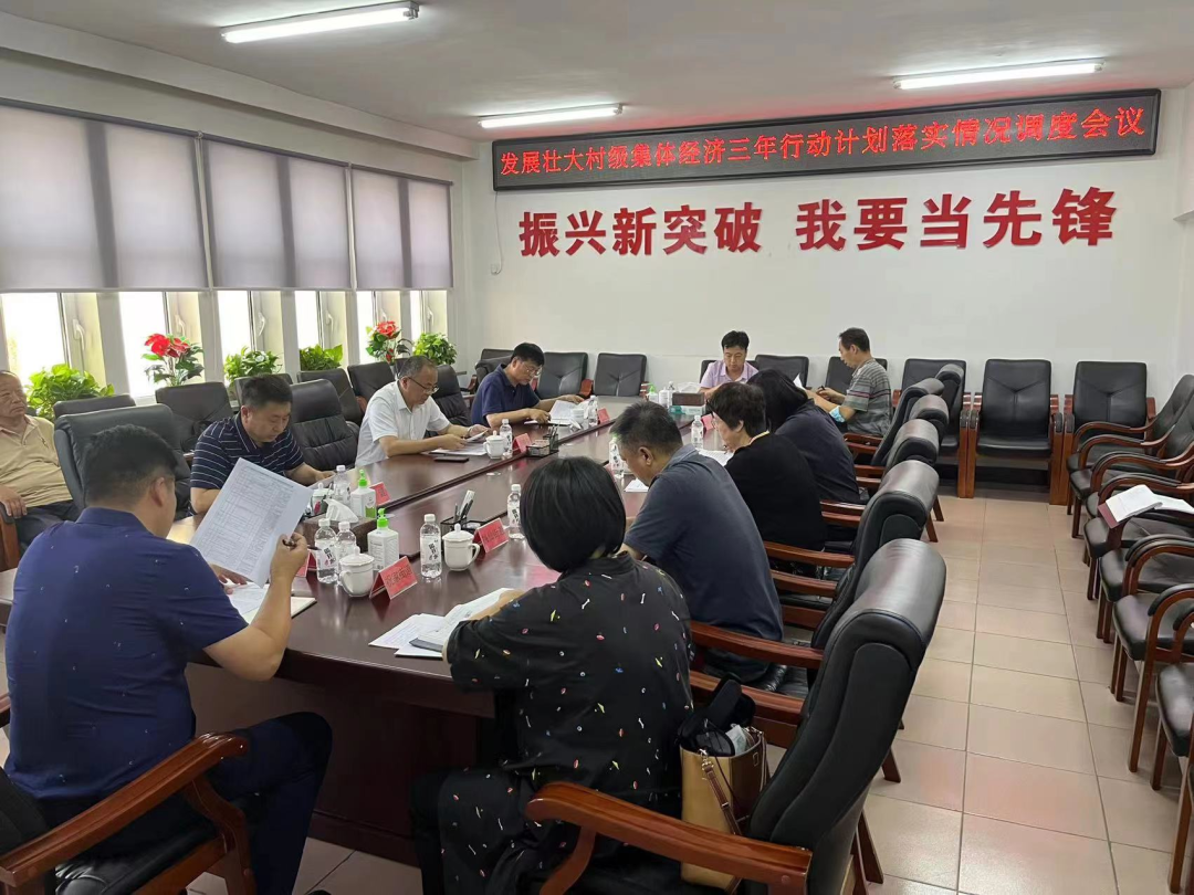 我区召开发展壮大村级集体经济三年行动计划落实情况调度会议