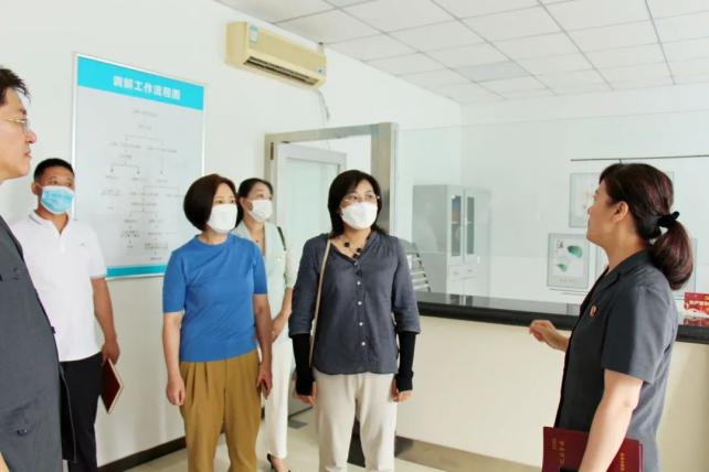 区法院：代表委员“进法庭” 建言献策促振兴