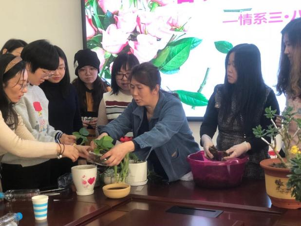 我区举办丰富多彩活动庆祝“三八”国际劳动妇女节