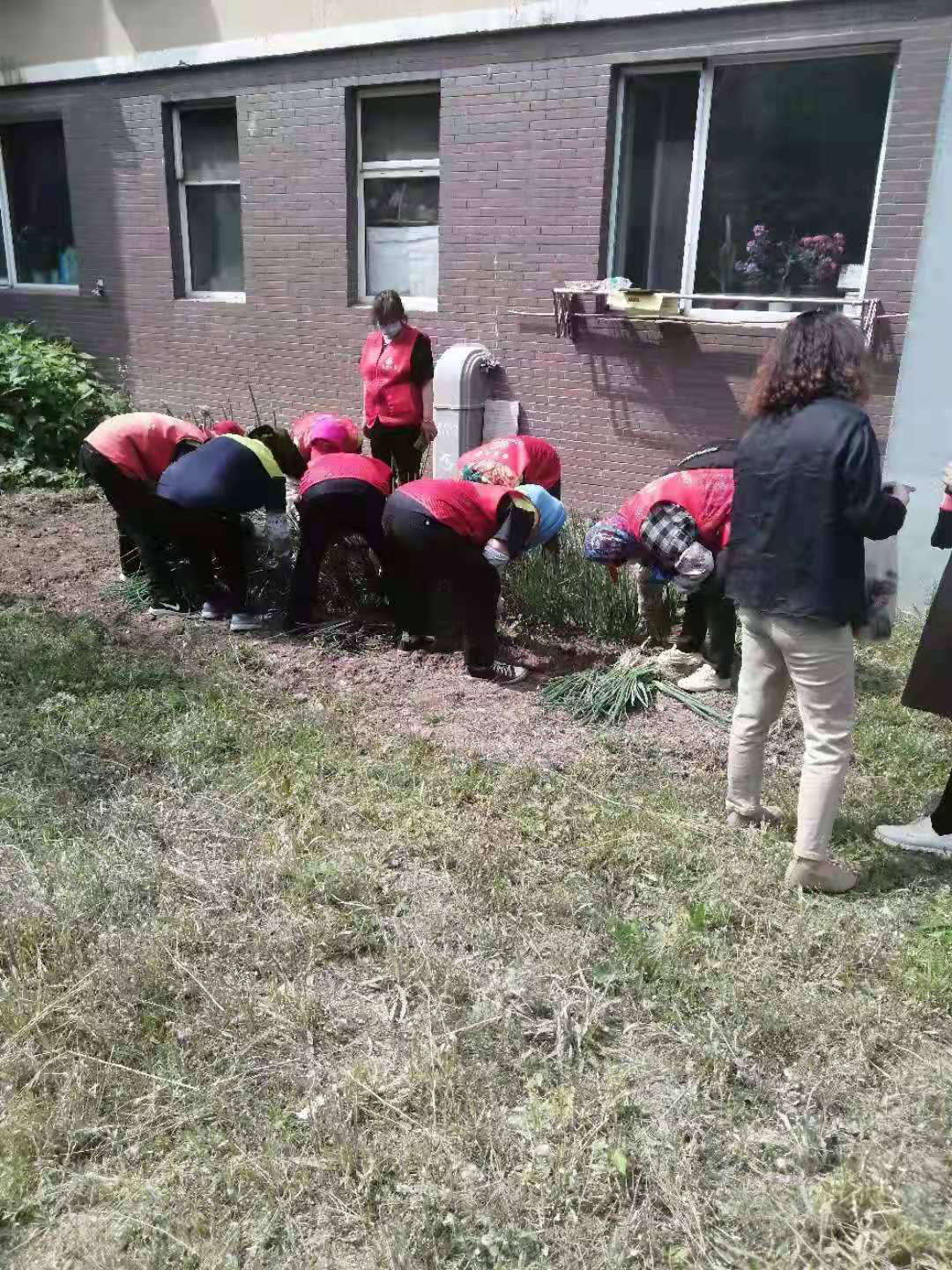 浑南区五三街道文华苑社区开展环境卫生清理活动
