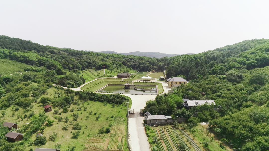 【贯彻落实区党代会精神】祝家街道：凝心聚力 创新实干 新农业未来可期