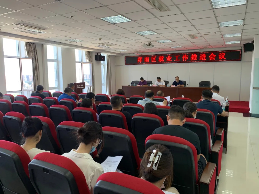 我区召开就业工作推进会议