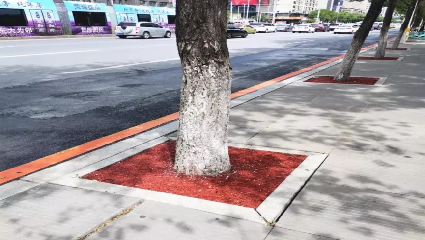 【学史力行】区城管局：学史促振兴 为民办实事