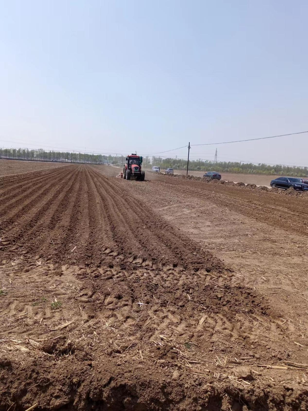 谷雨知农事 春播正当时