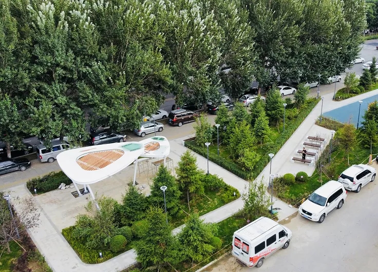 【创建文明城】浑南区：擦亮城市底色 持续提升城市“颜值”