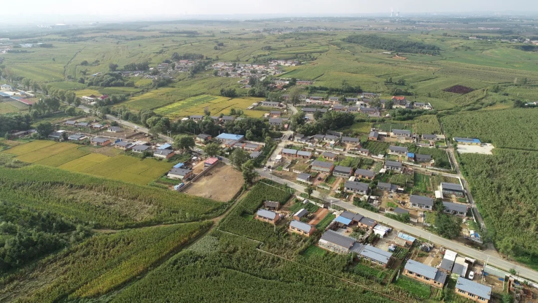 【贯彻落实市党代会精神】区农业农村局：落实市党代会精神 助力乡村振兴发展