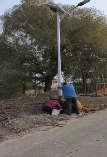 浑南区:村路亮起来 村民乐开怀