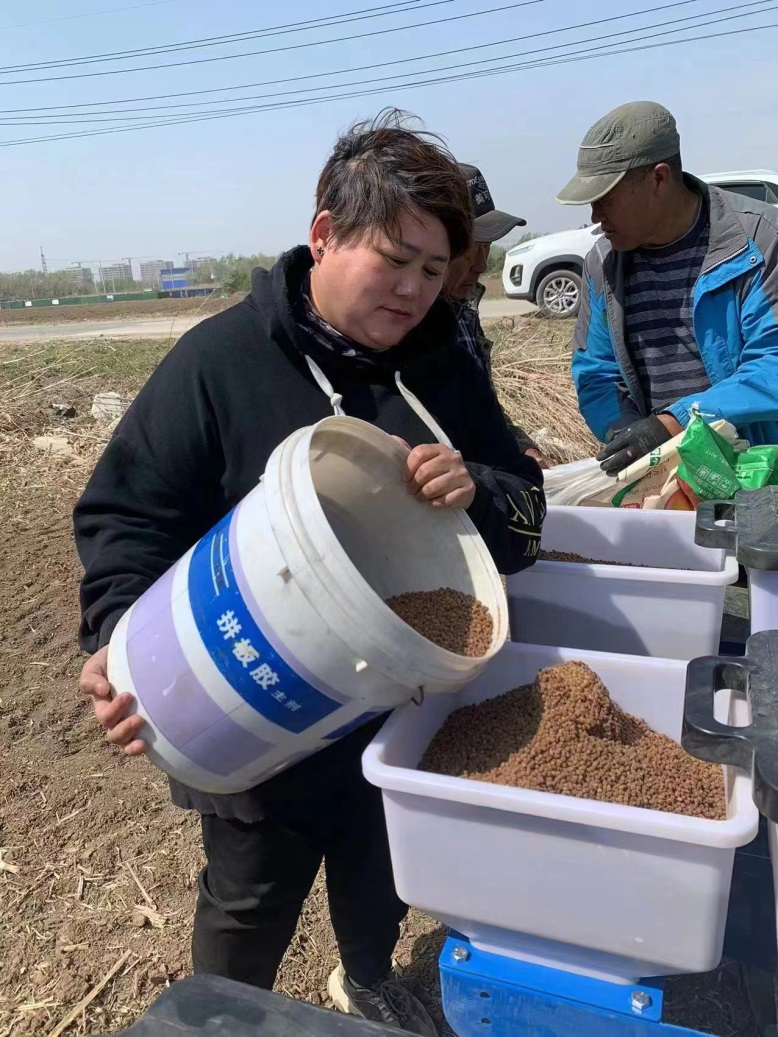 桃仙街道：闲置土地焕“活力” 万象“耕”新不负春