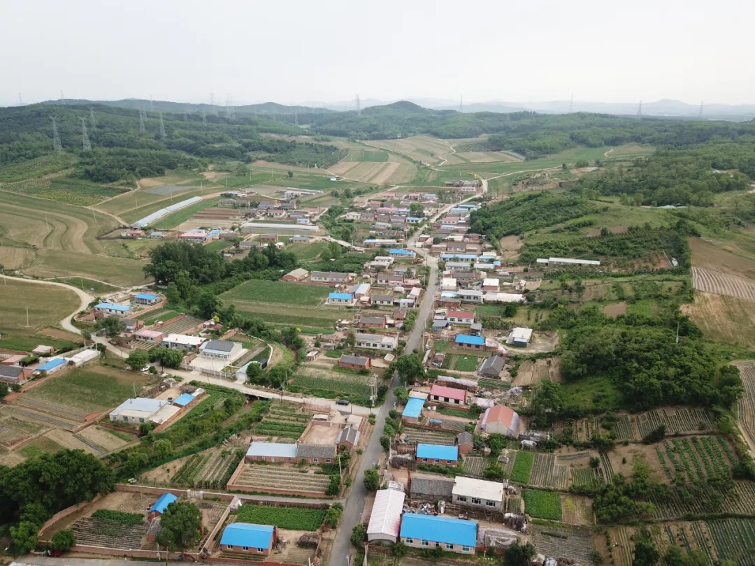 【贯彻落实“两会”精神】李相街道：对标夺标迎挑战 实干笃行谋发展