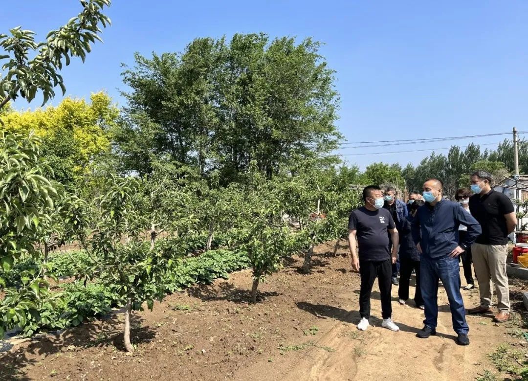 “比武”观摩促发展 乡村振兴添活力