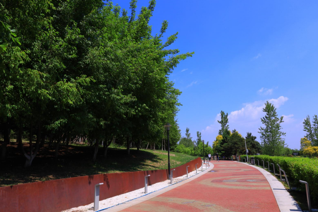 初夏,浑南莫子山公园美景如画